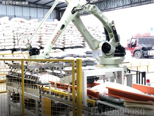 碼垛機(jī) 后段包裝物流自動(dòng)化的核心引擎與技術(shù)創(chuàng)新前沿